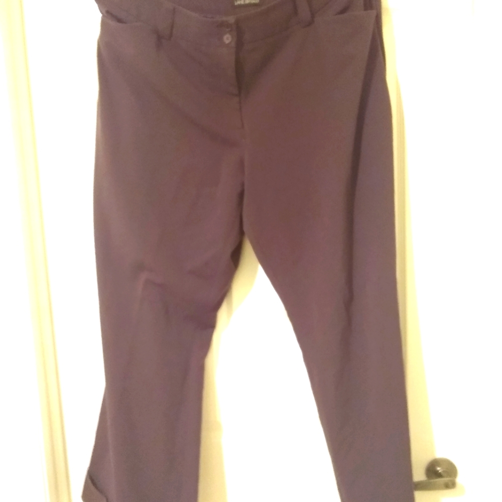Lane Bryant Dark burgundy or plum dress pants